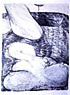 (Stone) Lithograph - Bathtub series by Gisele Beaupre