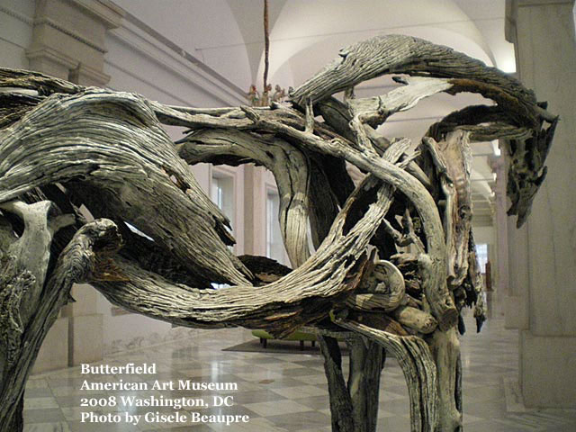 American Art Museum, Washington DC 2008