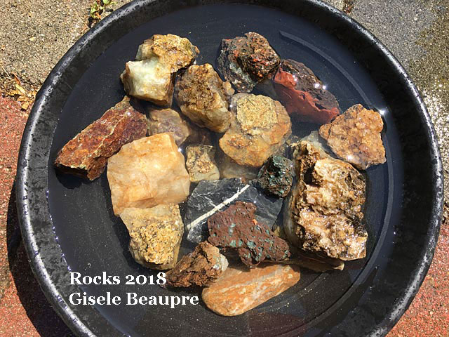 Vernon - Rockhounding 2018