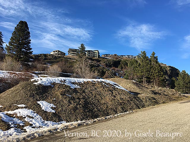 The Hills of Vernon, BC Feb. 2020 horizontal
